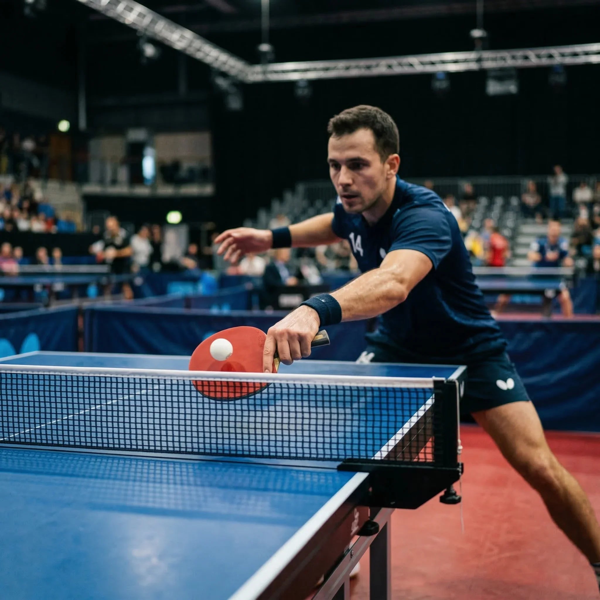 Table Tennis Collection
