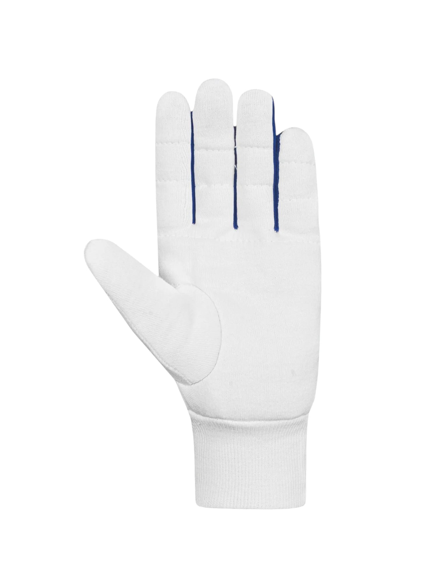 DSC Surge Wicket Keeping Inner Gloves