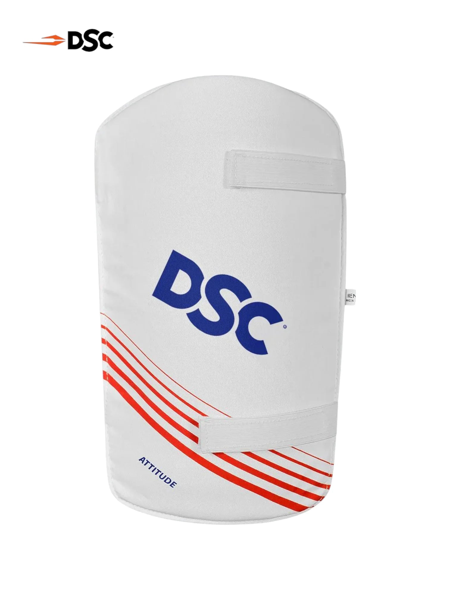 DSC Premium Kashmir Willow Cricket Kit