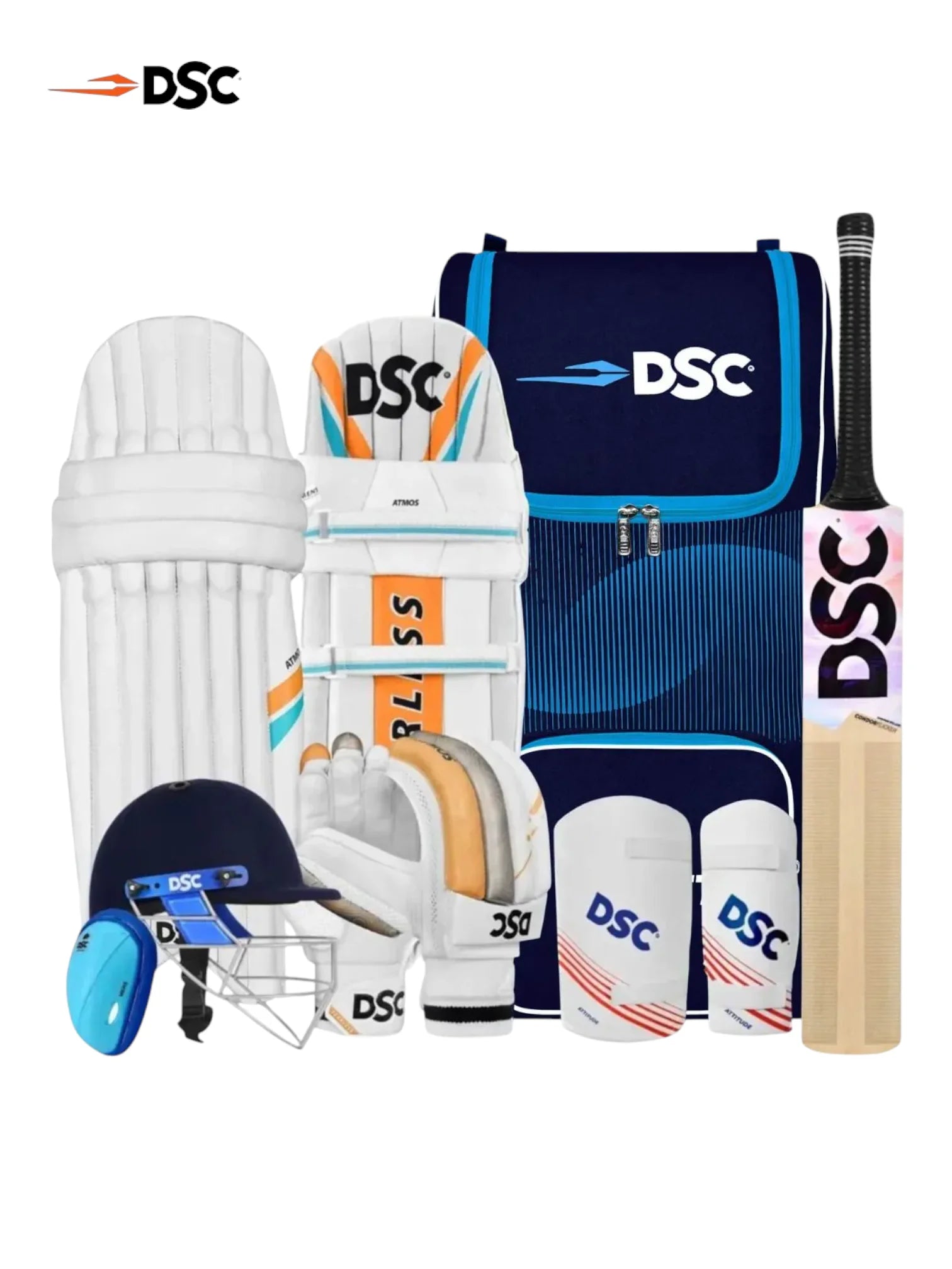 DSC Premium Kashmir Willow Cricket Kit