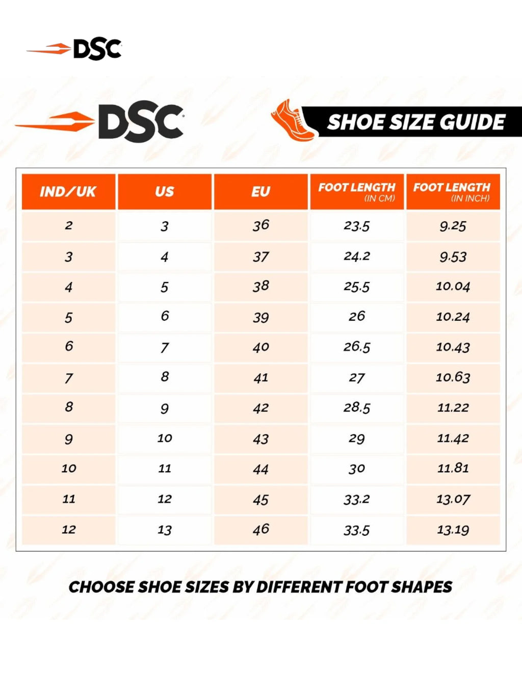 DSC Biffer Cricket Shoes
