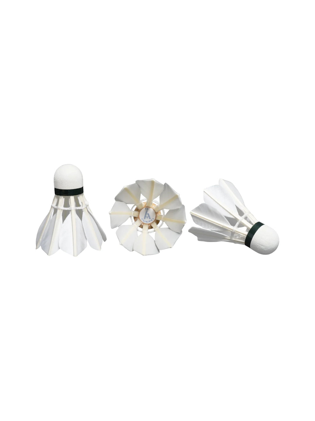 ASHAWAY Training Feather Shuttlecock
