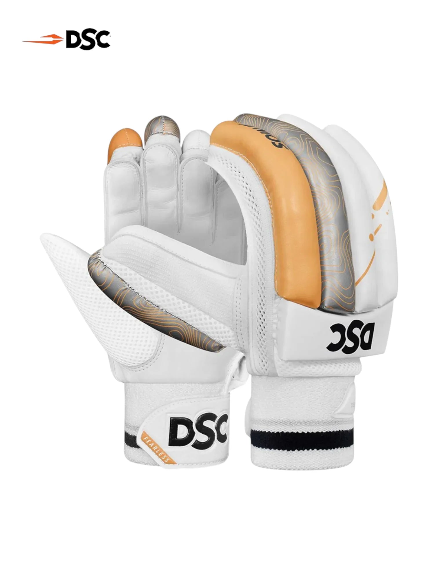 DSC Premium Kashmir Willow Cricket Kit