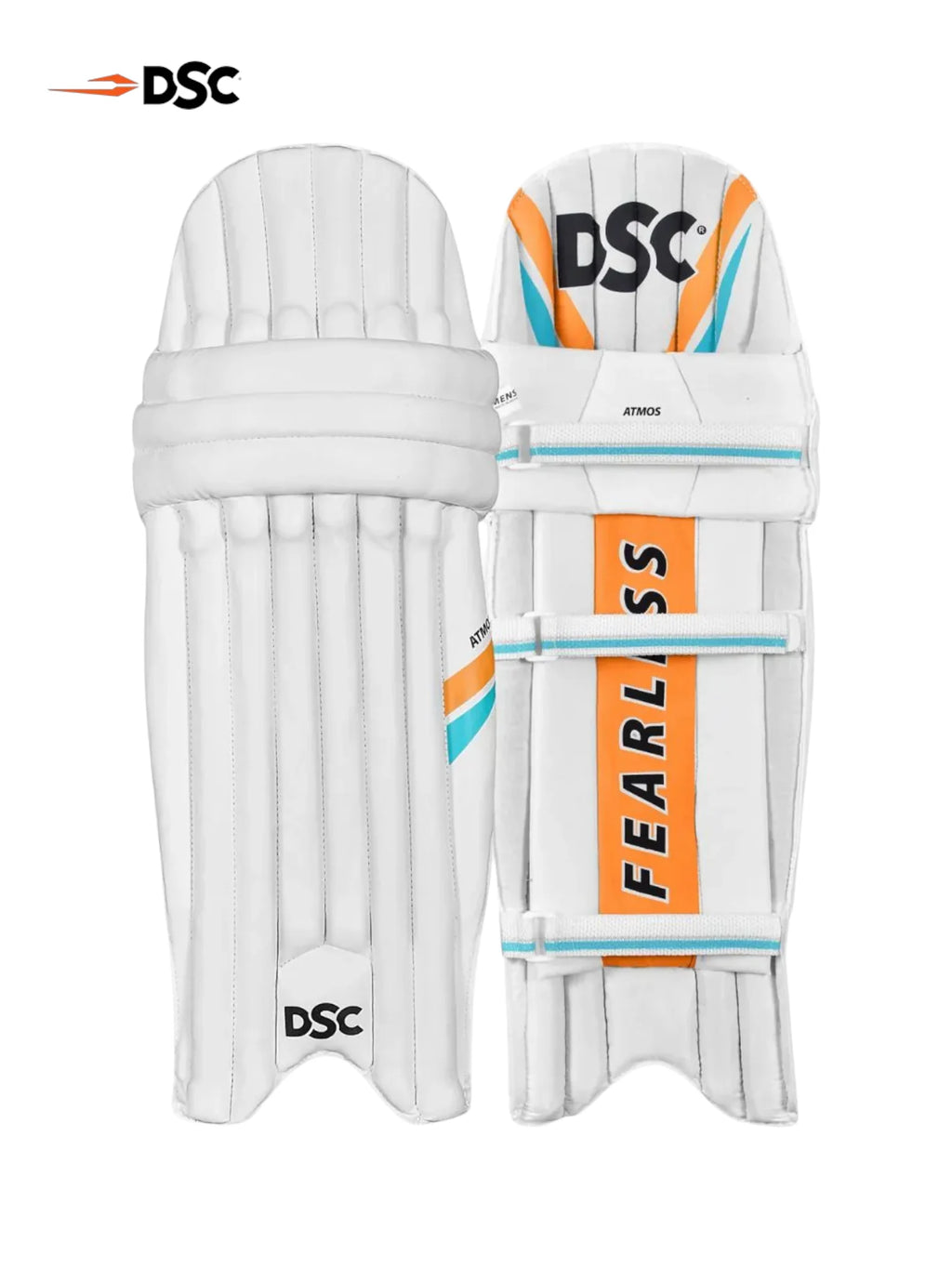 DSC Premium Kashmir Willow Cricket Kit