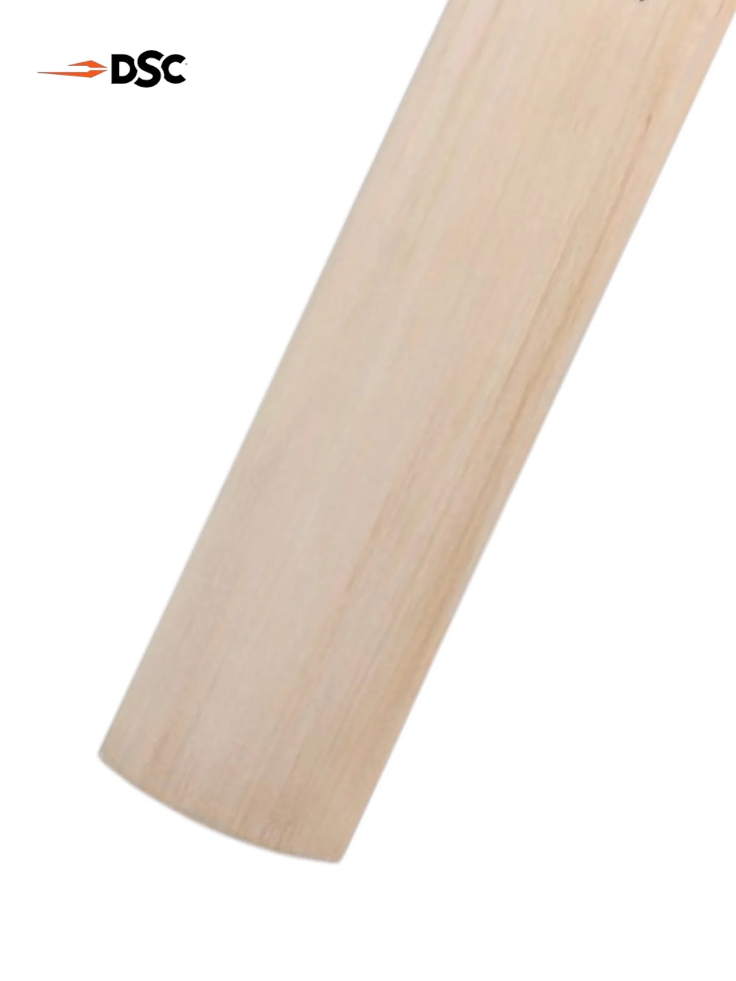DSC RS Exclusiv Premium Kashmir Willow Cricket Bat