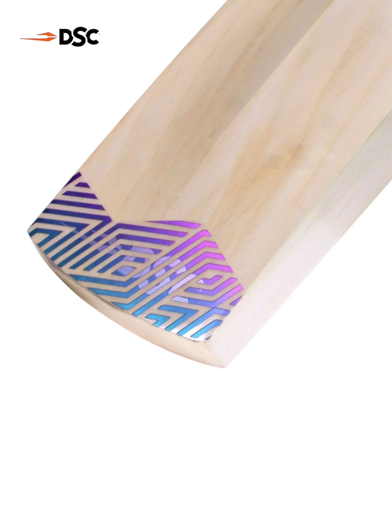 DSC RS Exclusiv Premium Kashmir Willow Cricket Bat