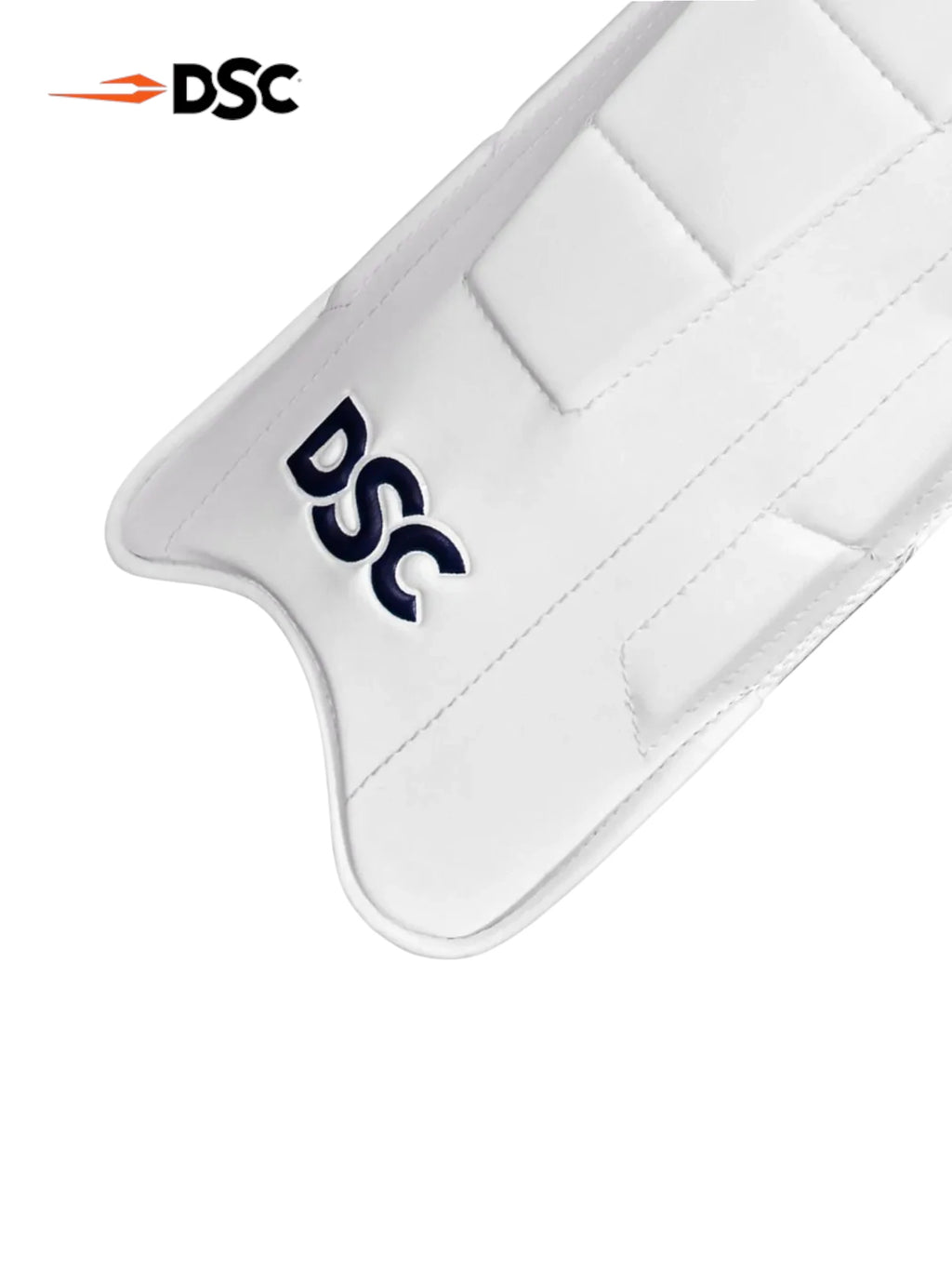 DSC Intense Pro Wicket Keeping Legguards