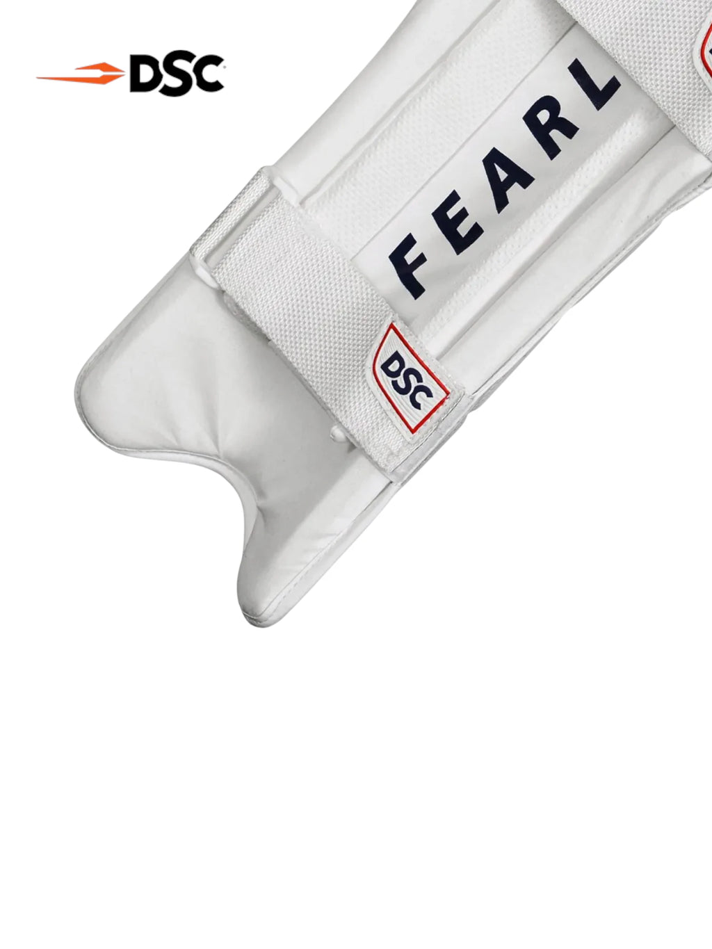 DSC Intense Pro Wicket Keeping Legguards