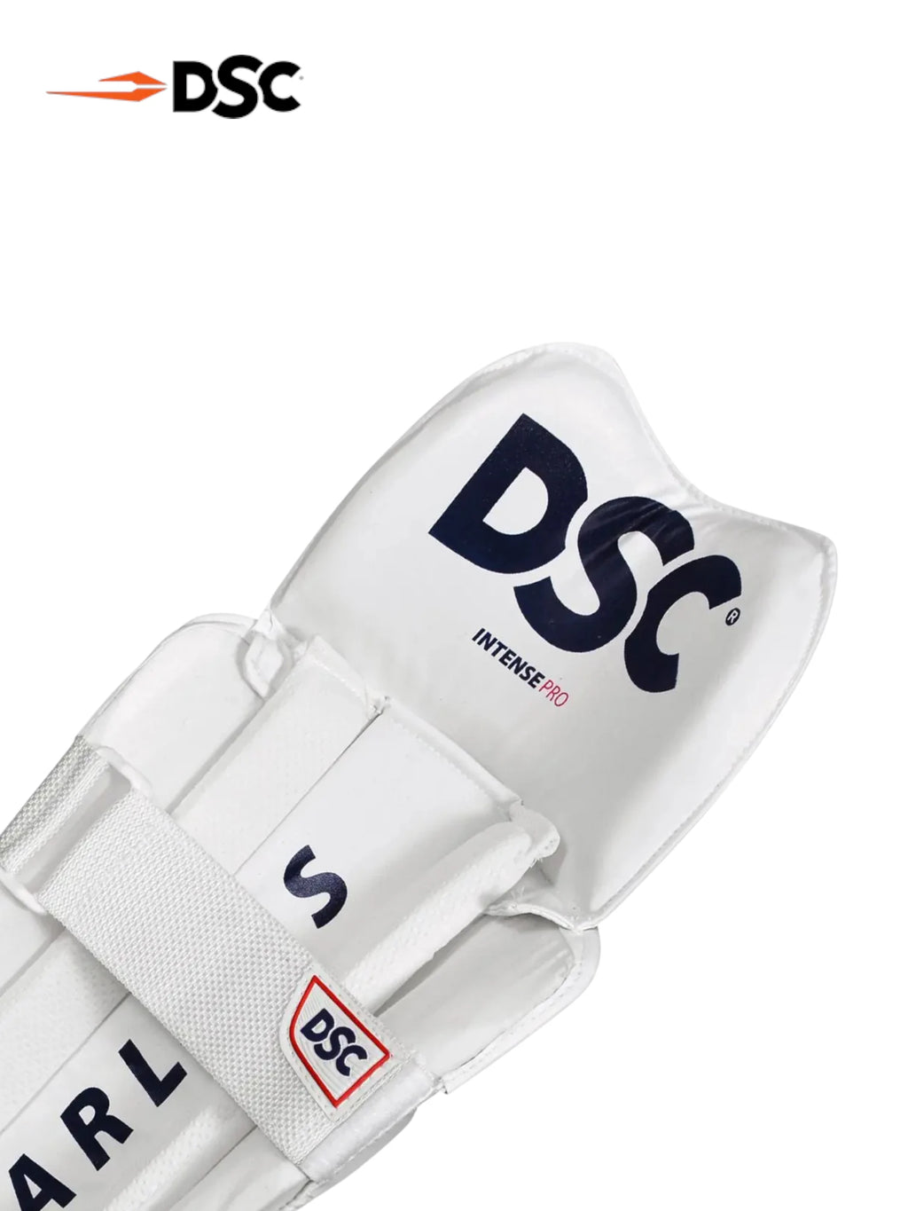 DSC Intense Pro Wicket Keeping Legguards