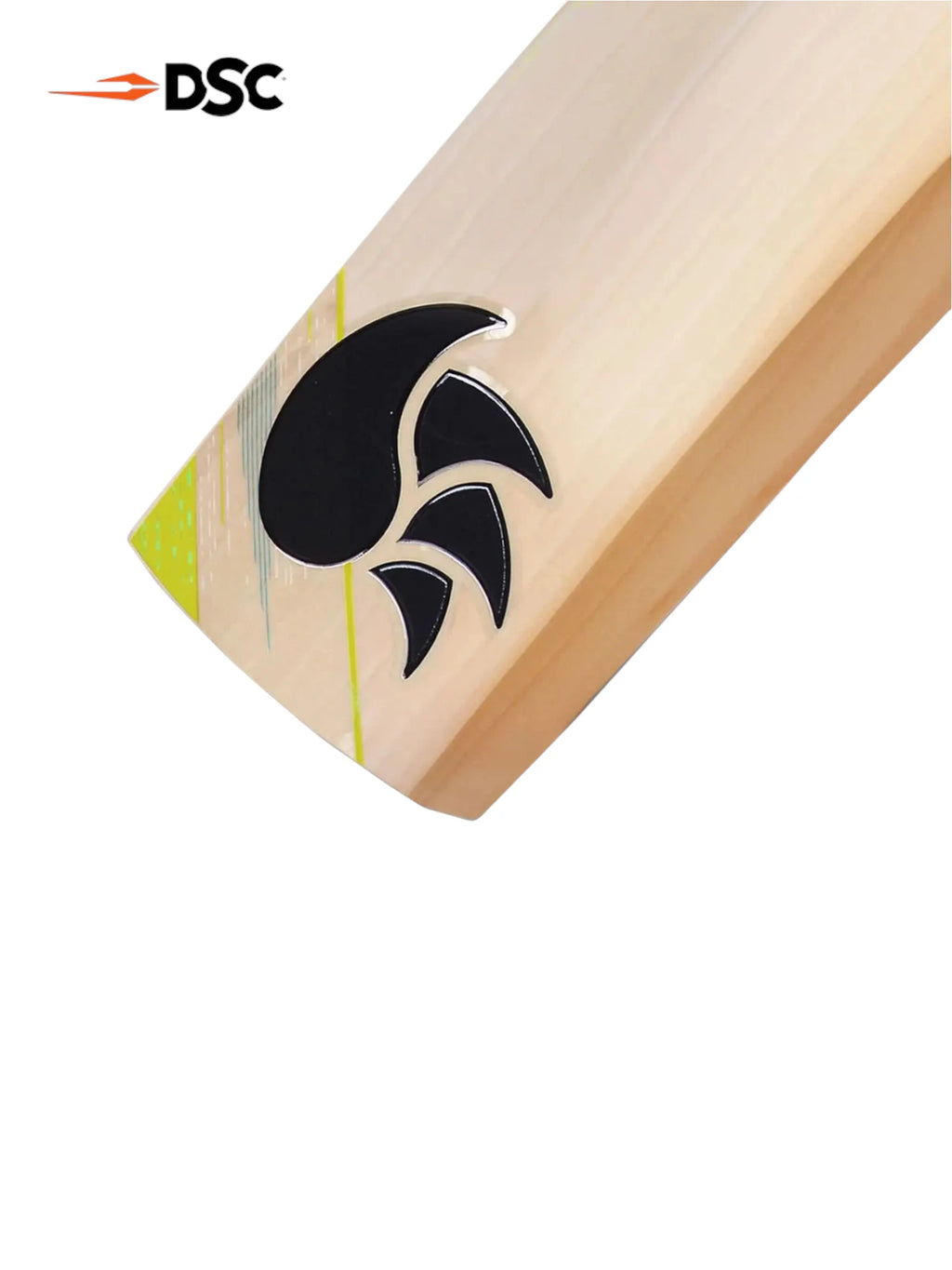DSC Condor Winger English Willow Cricket Bat