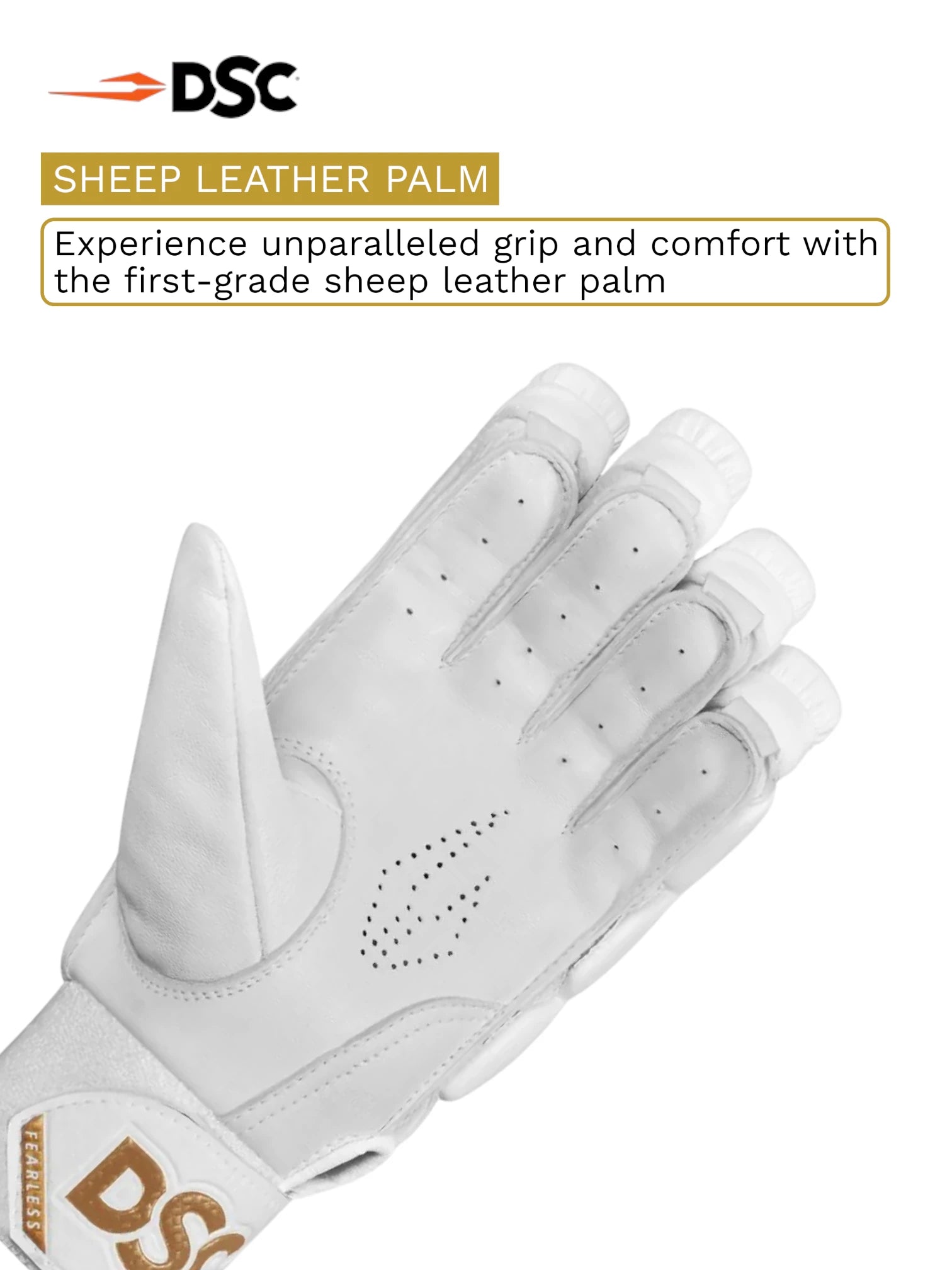 DSC Passion Batting Gloves