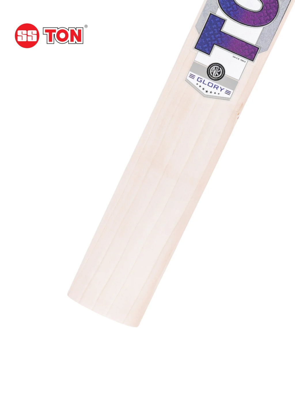 SS Ton Glory English Willow Cricket Bat