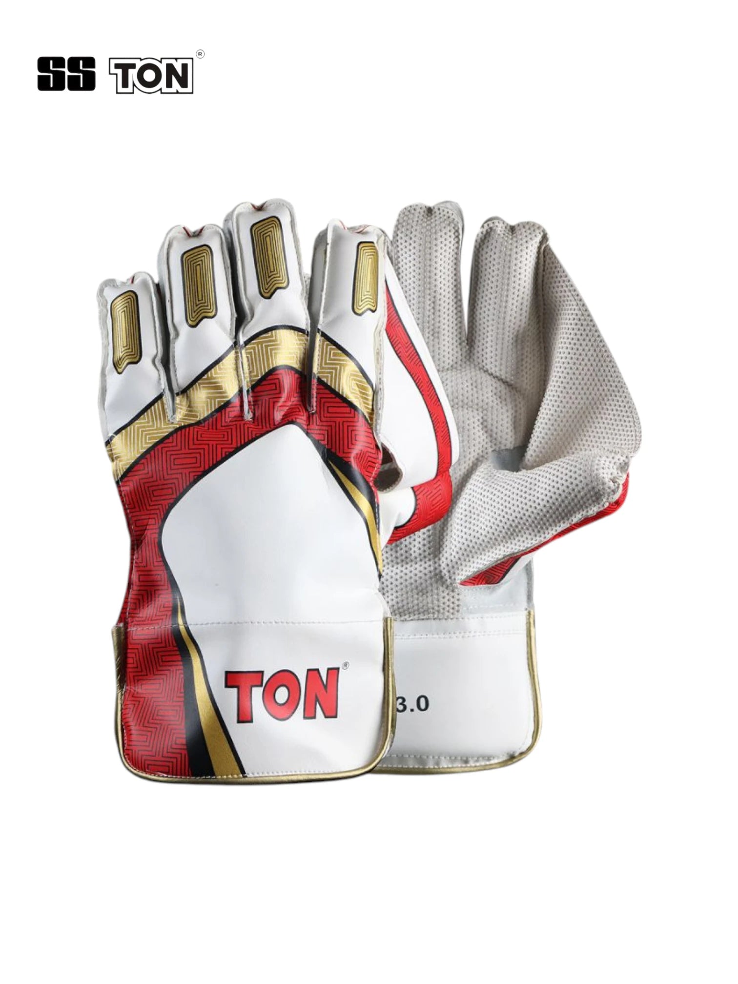 SS Ton Pro 3.0 Wicket Keeping Gloves