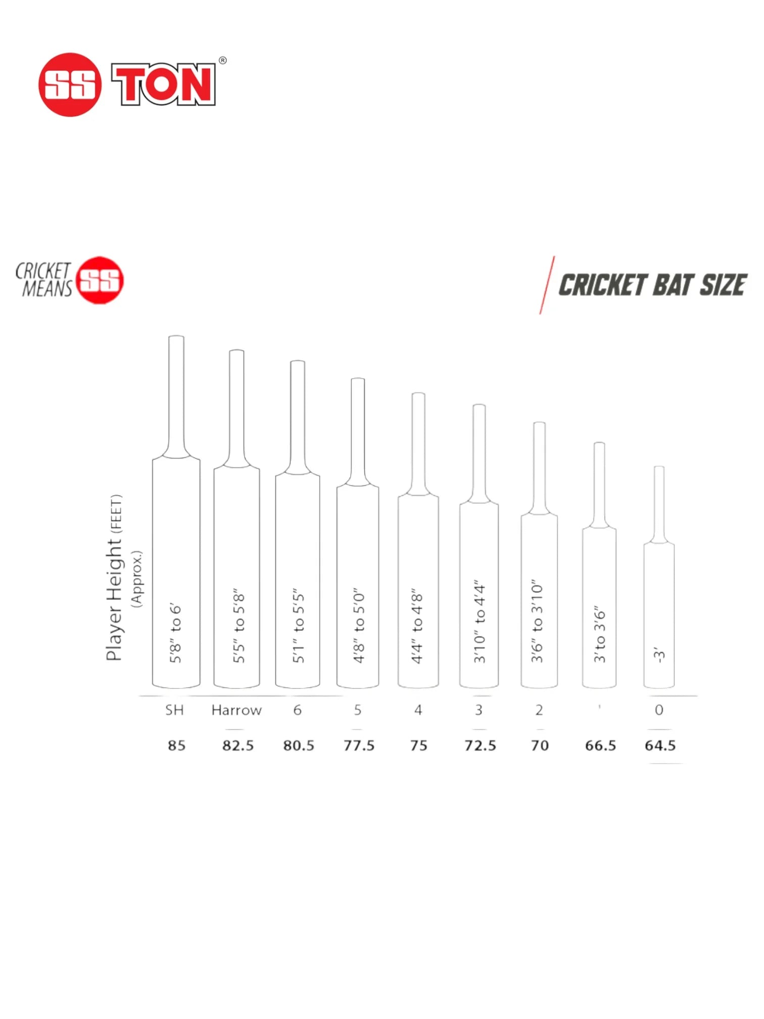 SS Master 1000 English Willow Cricket Bat