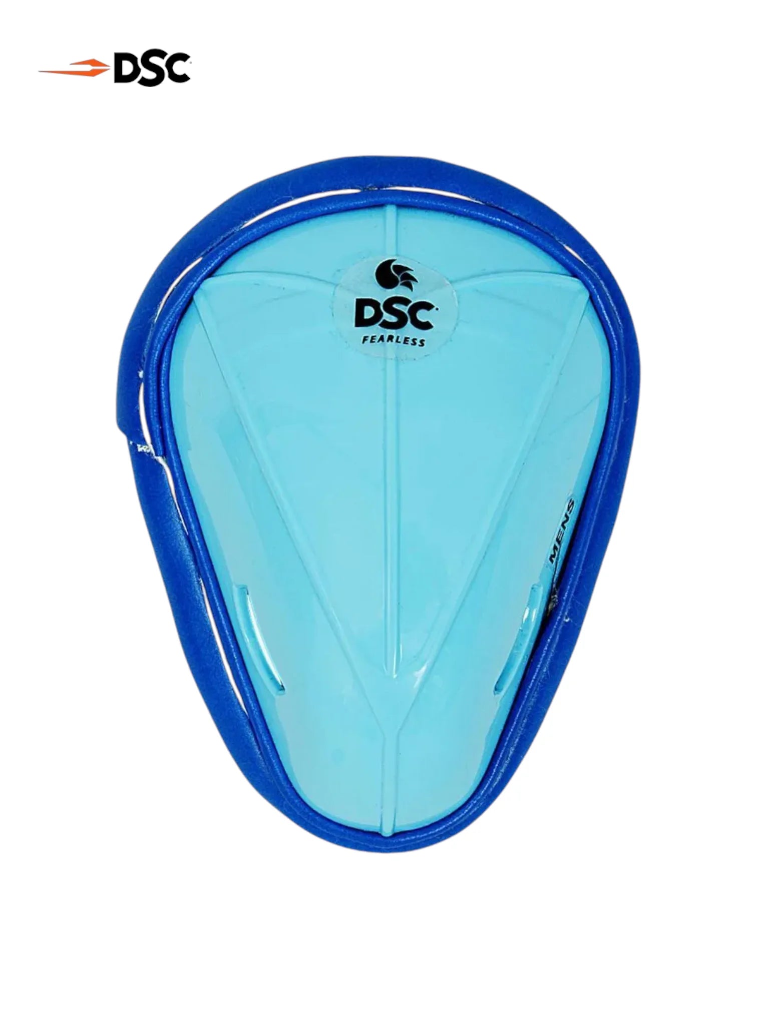 DSC Premium Kashmir Willow Cricket Kit