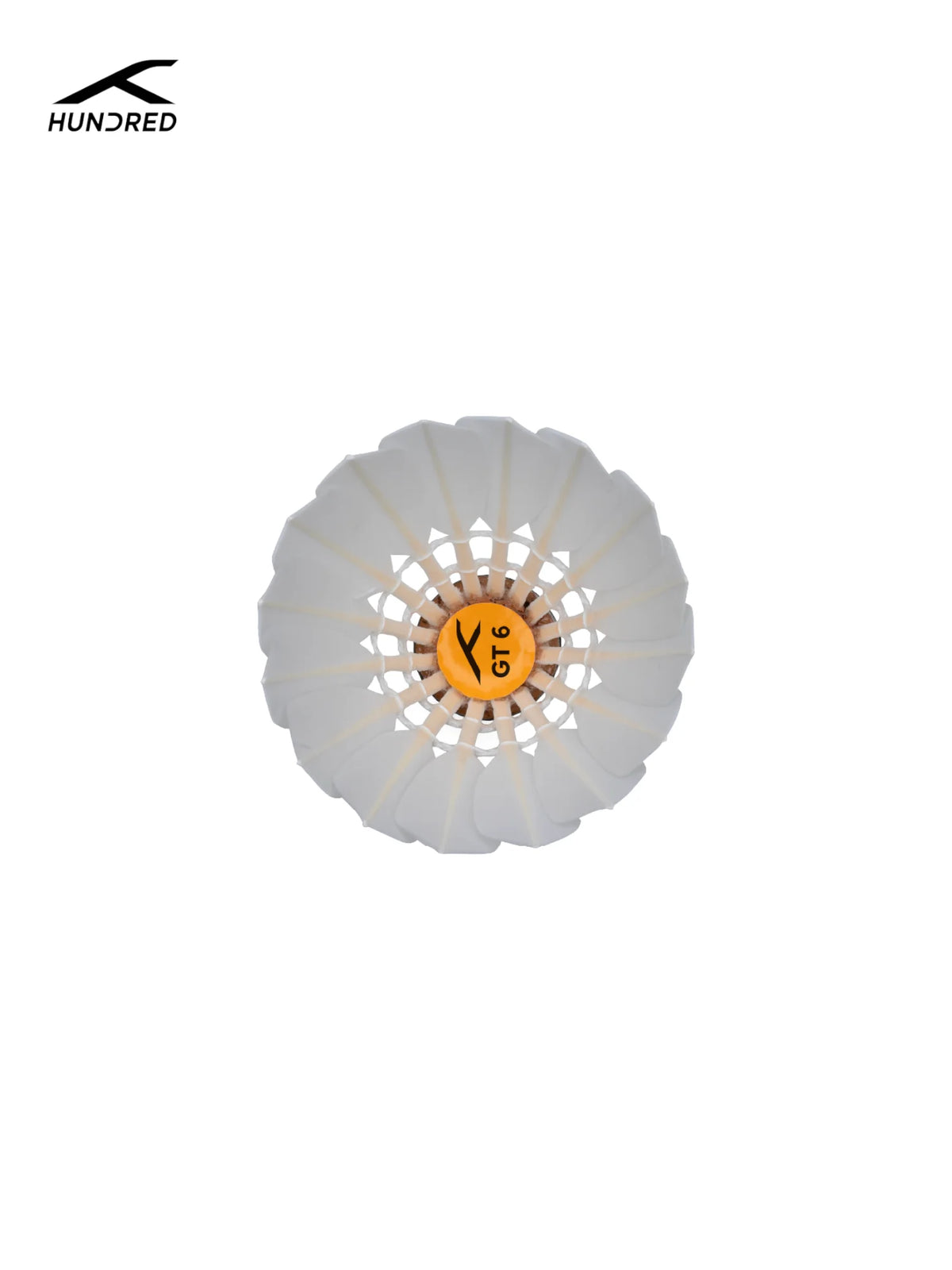 HUNDRED GT 6 Feather Shuttlecock (Pack of 15)