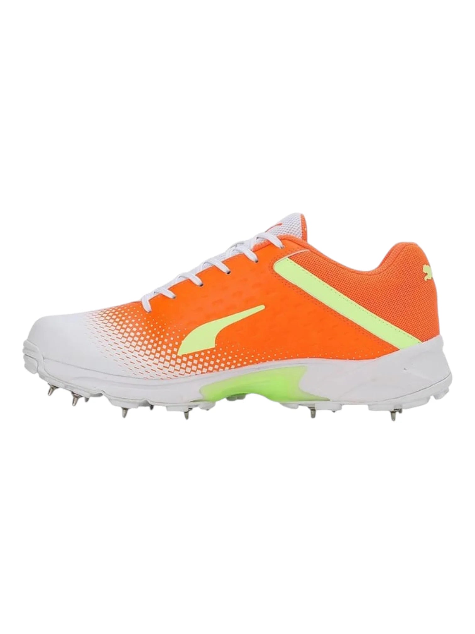 PUMA Spike 22.2 Cricket Shoes