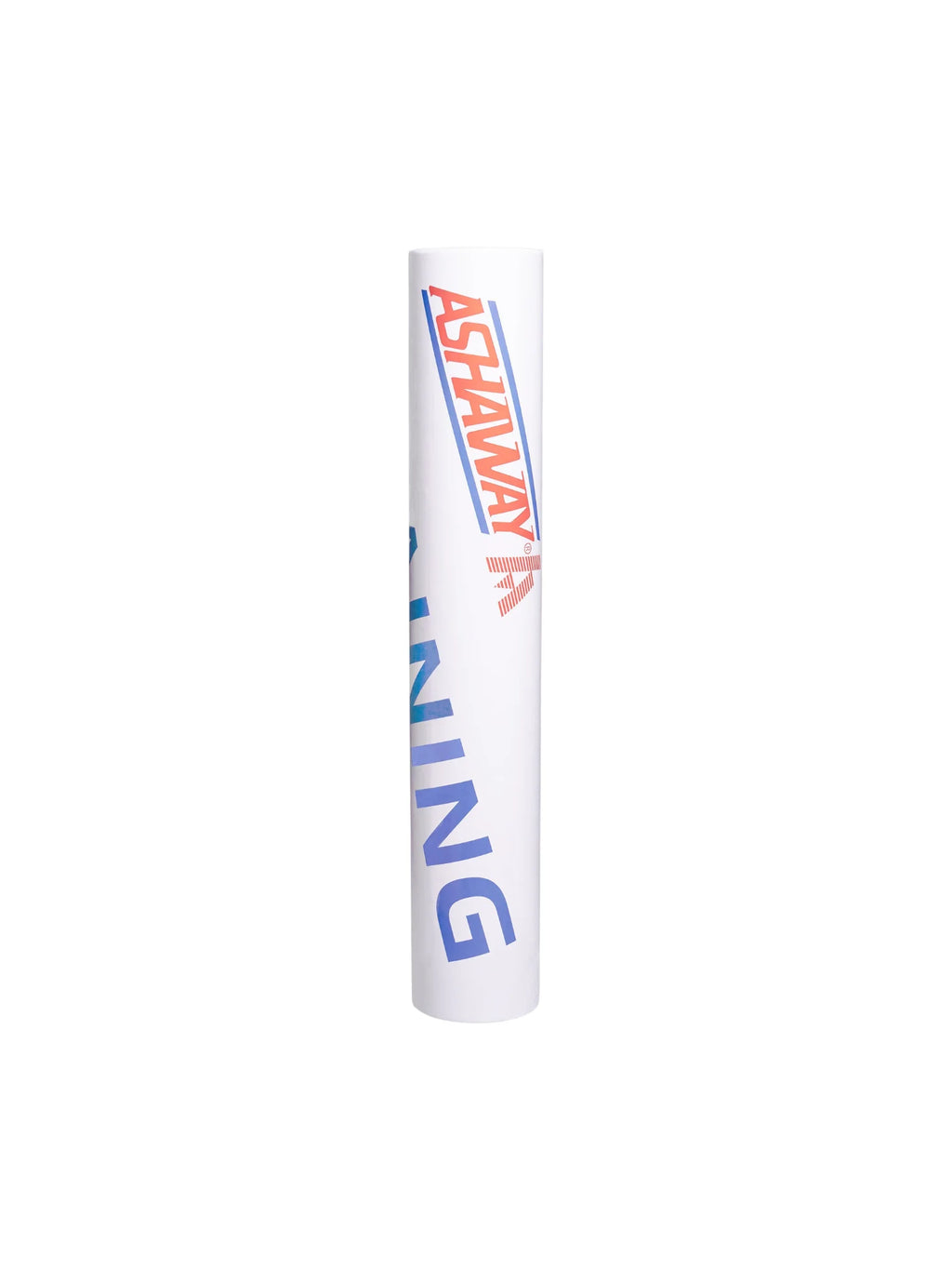 ASHAWAY Training Feather Shuttlecock