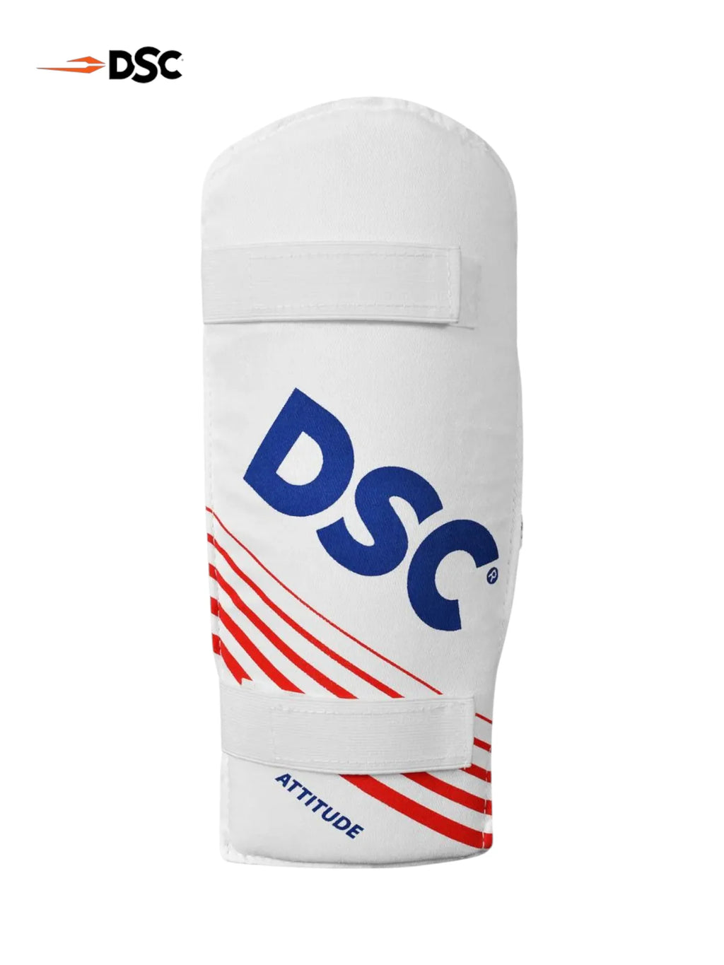 DSC Premium Kashmir Willow Cricket Kit